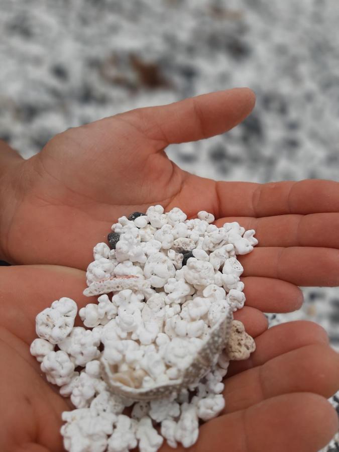 푸에르토델로사리오 La Cueva Del Bounty 아파트 외부 사진